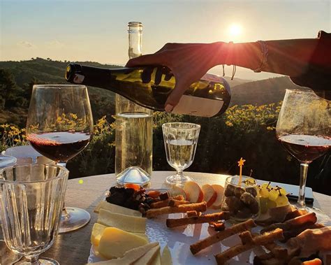 Izmir şarap bağları